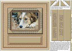 Dog in a Celtic Style Frame 8in x 8in Quick Card