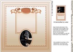 Mini Longhair Dachshund Puppy Matching 8 x 8 Insert Plate
