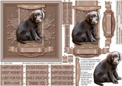 Chocolate Labrador Puppy on a Taupe Doily 6in x 6in Decoupag