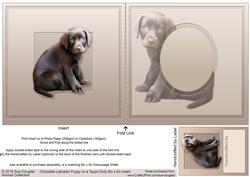 Chocolate Labrador Puppy Matching 6in x 6in Insert