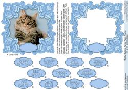 Tabby Cat in a Fancy Pearl Frame 5in x 5in Decoupage