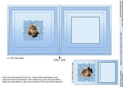 Tabby Cat in a Fancy Pearl Frame Matching 5in x 5in Insert