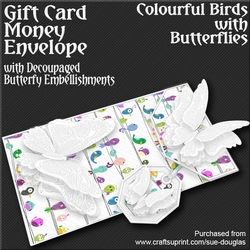 Colourful Birds with Butterflies Card/Money Envelope Mini Kit