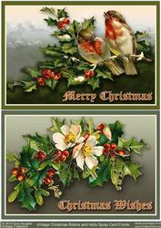 Vintage Christmas Robins and Holly Spray Card Fronts