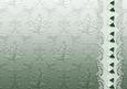 Green Floral Spray Embossed with Floral Border