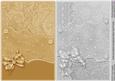 Gold and Silver Scrapbook Style Card Fronts