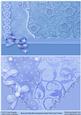 Blue and Pale Blue Scrapbook Style Floral Card Fronts