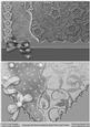 Charcoal and Silver Scrapbook Style Floral Card Fronts