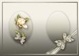 Cream Roses Bouquet in a Ribbon Wrap Matching A5 Insert