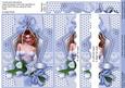 Kasey Cameo Blue, Tunnel Card Sheet