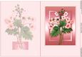 Spray of Pink Flowers Quick Card