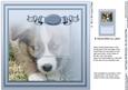 Cute Puppy with Blue Eyes Matching 8in x 8in Insert Plate