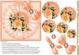 Vintage Peach Roses with Broiderie Anglaise Doily 6x6 Pyram