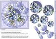 Blue Roses with Broiderie Anglaise Doily 6in x 6in Pyramage