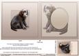 Chocolate Labrador Puppy Matching 6in x 6in Insert