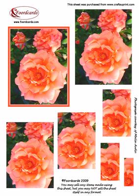 Peach Roses Pyramid Topper