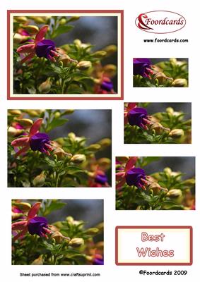 Fusia Best Wishes Pyramid
