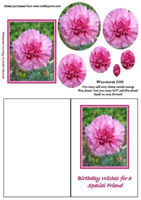 Carnation Quick Card with Pyramid Layers