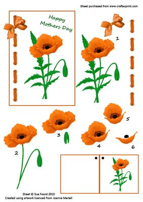 Orange Poppy for Mothers Day