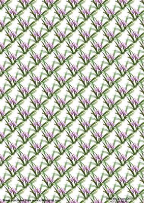 Birthday Flowers & Butterfly Background Paper