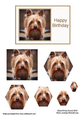 Yorkie Birthday Octogon Pyramid Card Front