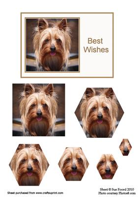 Yorkie Octogon Pyramid Card Front- Best Wishes