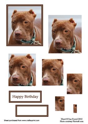 Pit Bull Pyramid Topper with Birthday Greetings Plate