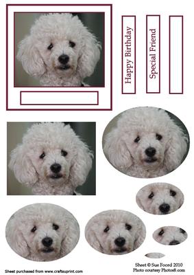 Poodle Oval Pyramid Topper with Greetings Plates