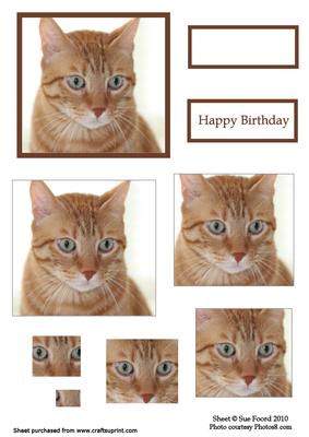 Ginger Cat Birthday Pyramid Topper