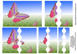 Butterfly Meadow