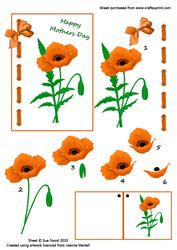 Orange Poppy for Mothers Day