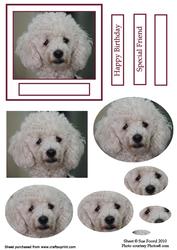Poodle Oval Pyramid Topper with Greetings Plates