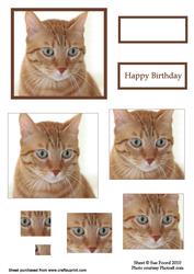 Ginger Cat Birthday Pyramid Topper