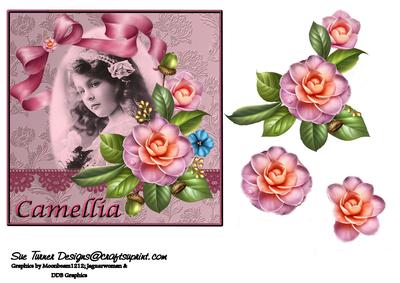 Camellia
