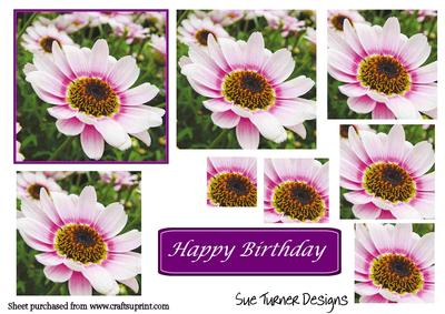 Pink Daisy Pyramid