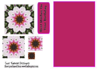 Mosaic Daisy on Pink