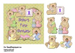 Baby's First Birthay