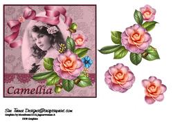 Camellia