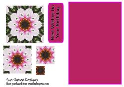 Mosaic Daisy on Pink