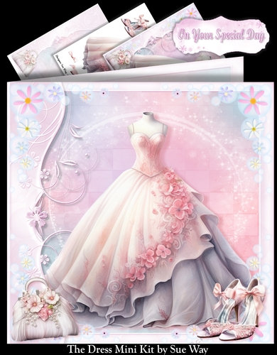 The Dress Mini Kit