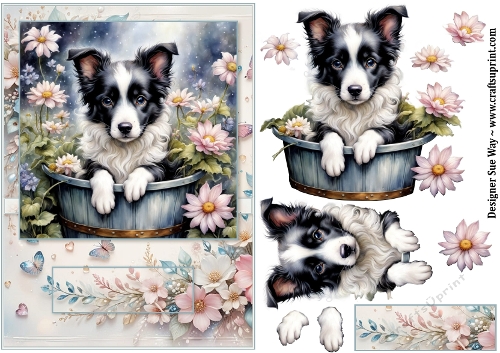 Border Collie Puppy in a Bucket  A5 Card Front and Decoupage