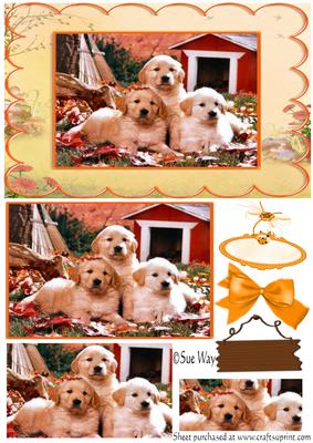 Autumn Puppies Card Front