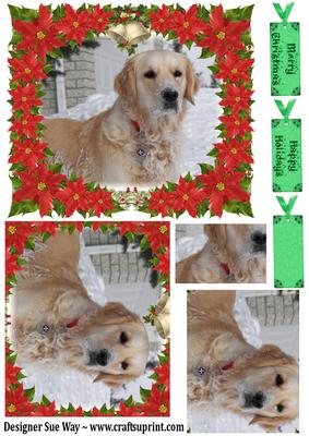 Poinsettia Dog in the Snow