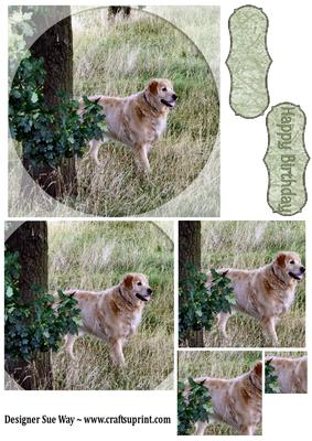 Golden Retriever Dog in the Country Pyramid