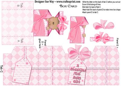 New Baby Girl Box Card