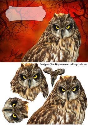Night Owl Card Front