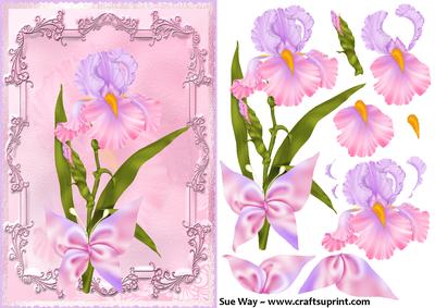 Pink and Lilac Framed Iris Card Front & Decoupage