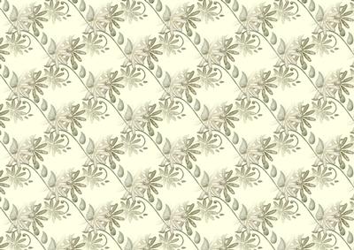 Creamy Floral Dreams Backing Paper