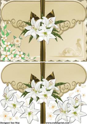 White Orchids Faux Envelope Card