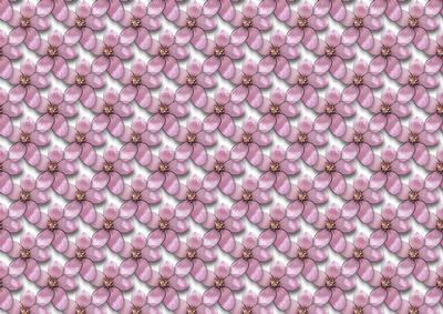 Apple Blossom Backing Paper